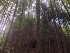 -山王坪喀斯特国家生态公园
