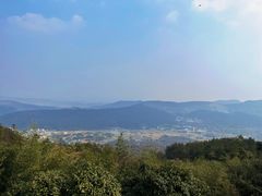 -冶父山国家森林公园