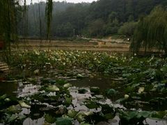 -韶山毛泽东同志故居