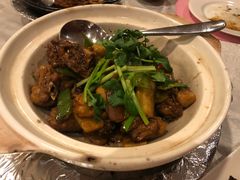 姜葱啫啫鸡-天伦王朝酒店·盛华瑄餐厅