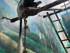 -石家庄市动物园