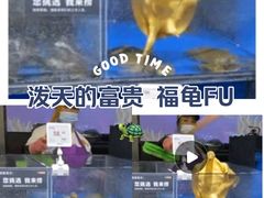 -新农都水产市场