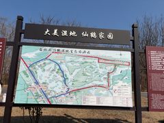 -盐城丹顶鹤湿地生态旅游区