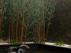 -天津海河悦榕庄·Lobby Lounge大堂吧