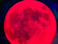 -成都梵高星空艺术馆(春熙路旗舰店)
