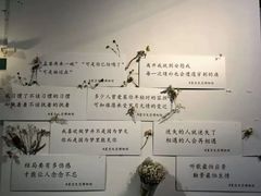 -厦门失恋博物馆(中华城店)