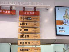 -野人先生现做冰淇淋(西安赛格店)