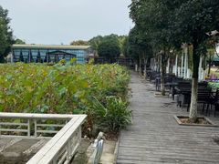 -洪湖家庭农场·团建·露营·会议