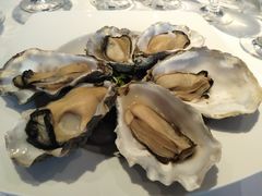 -Oyster Talks 四度蚝法餐厅
