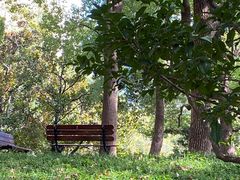 -徐家汇源景区-衡山公园