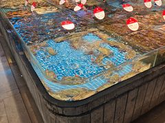 -连鹭海鲜·海肠捞饭·海胆饭(星海店)