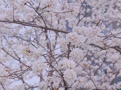 -新天地活力PARK