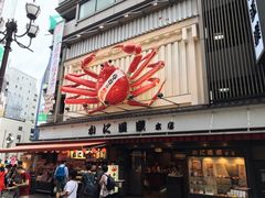 -蟹道乐(道顿堀本店)