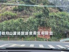 -温汤发糕(温汤店)