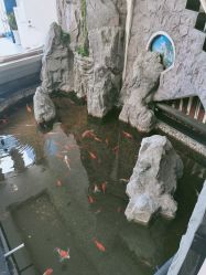 -五洲妇儿医院