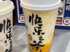 -GOGO Plate(成都太古里店)