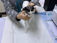 -美联众合动物医院·24h转诊中心