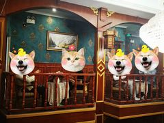 -NINES推理馆·实景侦探推理剧MIXPLAY(静安店)