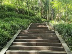 -青城山
