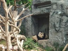 -石排湾郊野公园