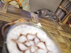 -小时光咖啡馆(开森度假森林店)