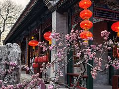 -白家大院·王府宫廷菜(苏州街店)