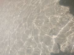 -重庆海昌加勒比海水世界