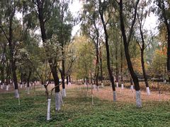 -东升八家郊野公园