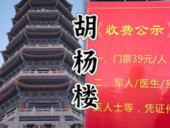 -金塔沙漠胡杨林景区