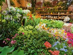 -双季花艺园艺市场(浦东店)