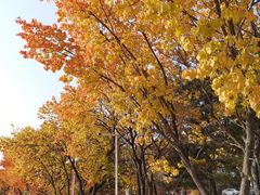 -吉林大学(前卫南区)