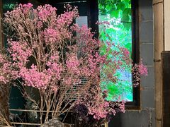 -斯多格书乡(北京大学畅春园店)