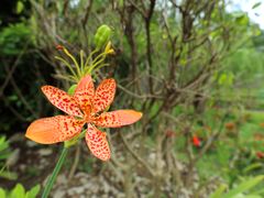 -龙环葡韵住宅式博物馆