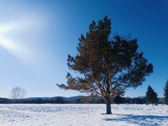 -北极村旅游风景区