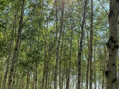 -长春市南湖公园