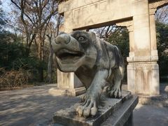 -灵谷景区