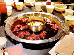 -大龙燚火锅(春熙店)