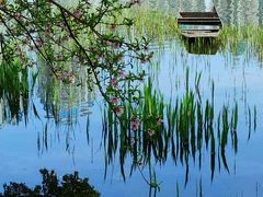 -西北湖绿化广场