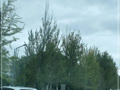 -延安杨家岭革命旧址