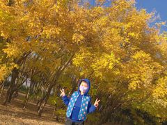 -中环花鸟鱼虫市场