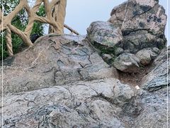 -鬼笑石后山停车场