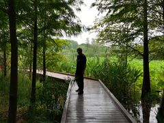 -昆山城市生态森林公园