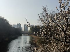 -昆山城市生态森林公园