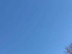 -德天下自助水饺(海洪店)