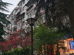 -陈掌柜澄城水盆羊肉(钟楼店)