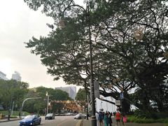 -新加坡总统府