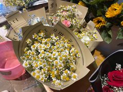 -循礼门鲜花花市(武汉循礼门店)