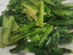 -煲来饱去冷水鱼