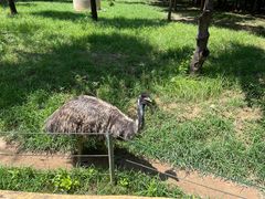 -石家庄市动物园