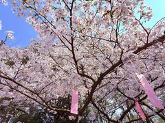 -杭州少年儿童公园